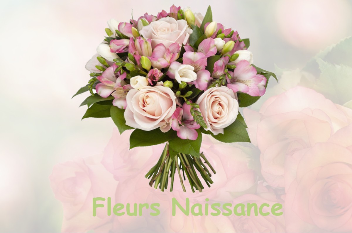 fleurs naissance BREIL-SUR-ROYA