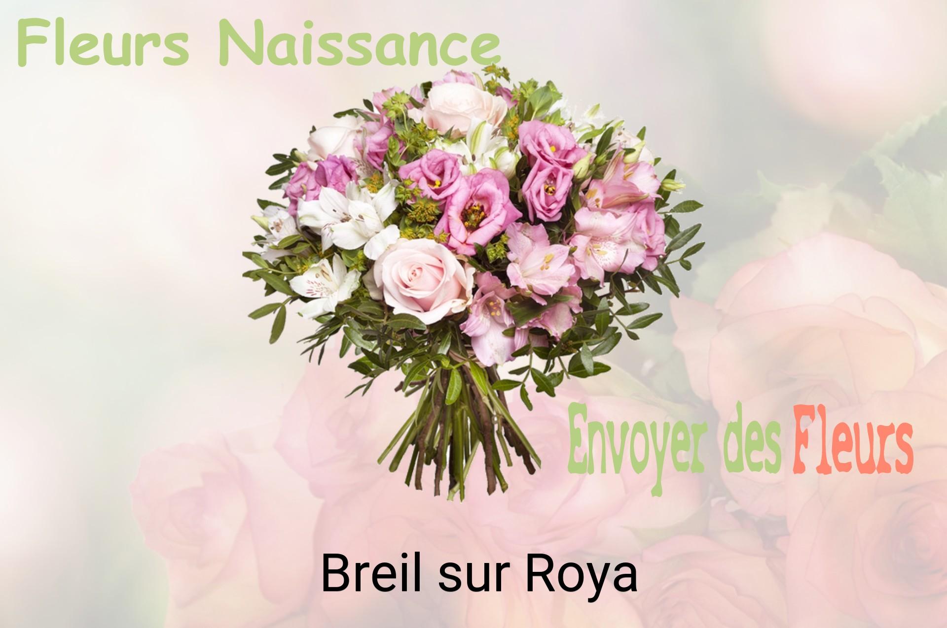 Bouquet de fleurs de naissance livré à Breil-sur-Roya