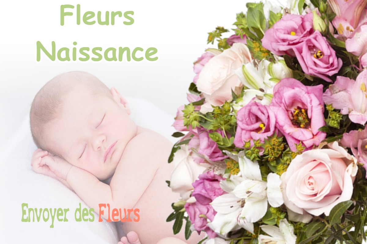 lIVRAISON FLEURS NAISSANCE à BREIL-SUR-ROYA